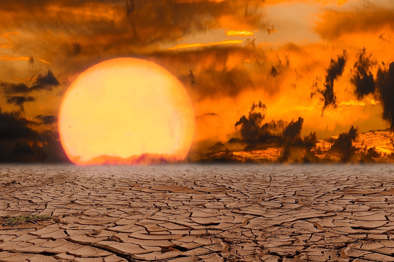 How to Combat Climate Change with Green Energy